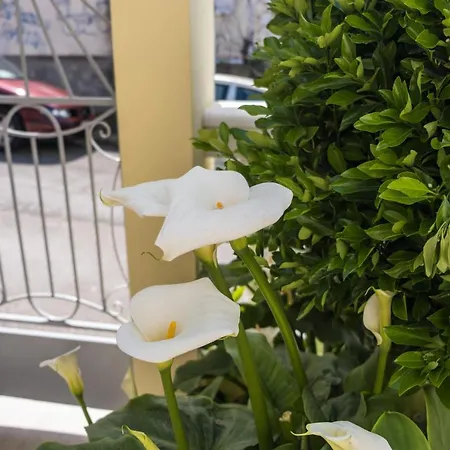 Maison Du Soleil By Hotelius *